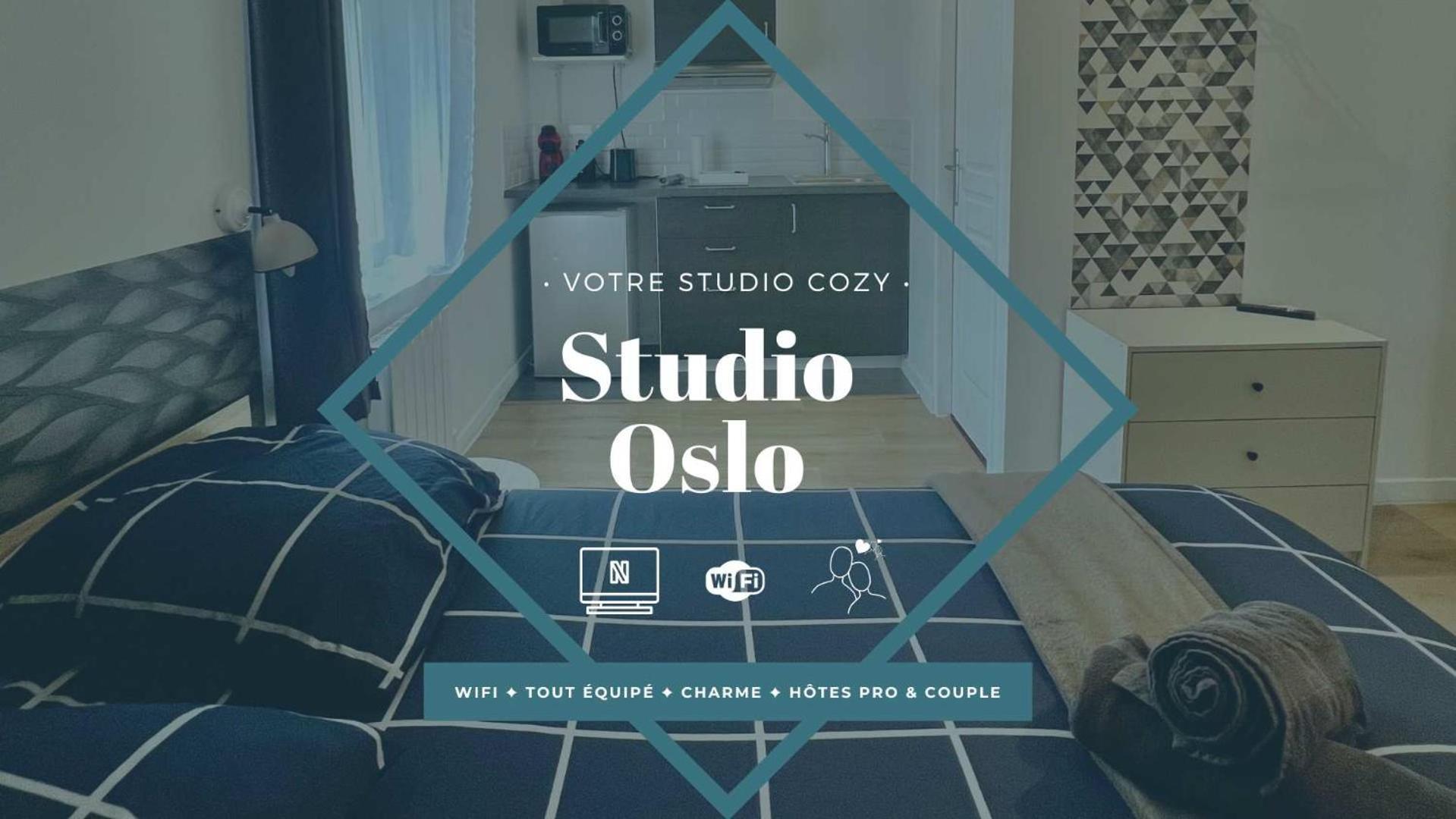 Studios Ideal Pro I Centre-Ville & Parking Gratuit 沙泰勒罗 外观 照片