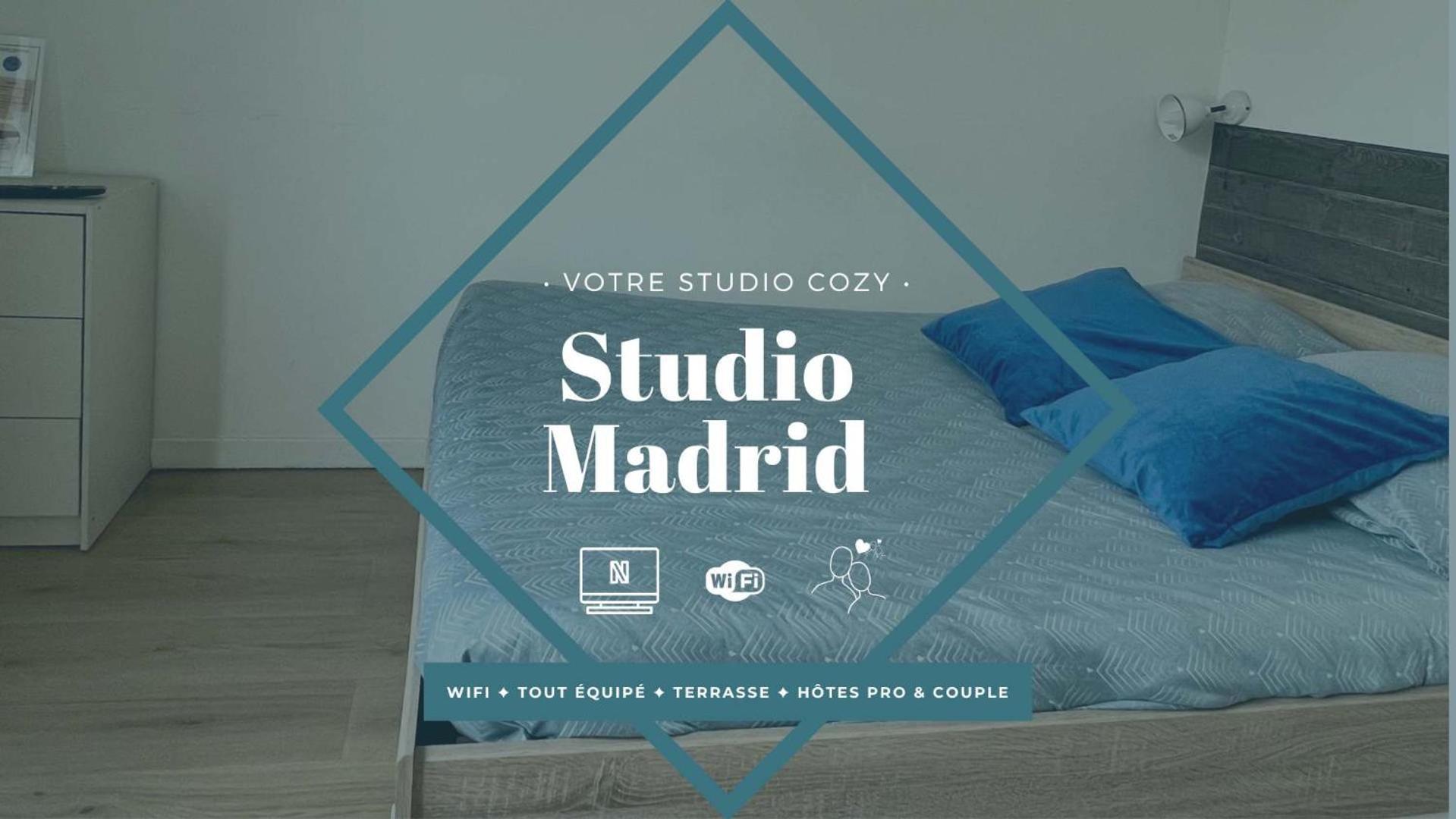 Studios Ideal Pro I Centre-Ville & Parking Gratuit 沙泰勒罗 外观 照片